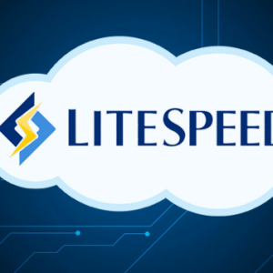 LiteSpeed Web Server
